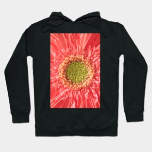 centre of a universe. SPRING . as is Hoodie